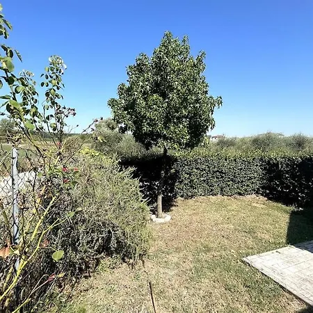La Toscanella-casa Con Giardino Privato 公寓 *